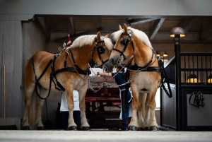 Carlsbergs hjem: Entrébillet + guidet rundvisning