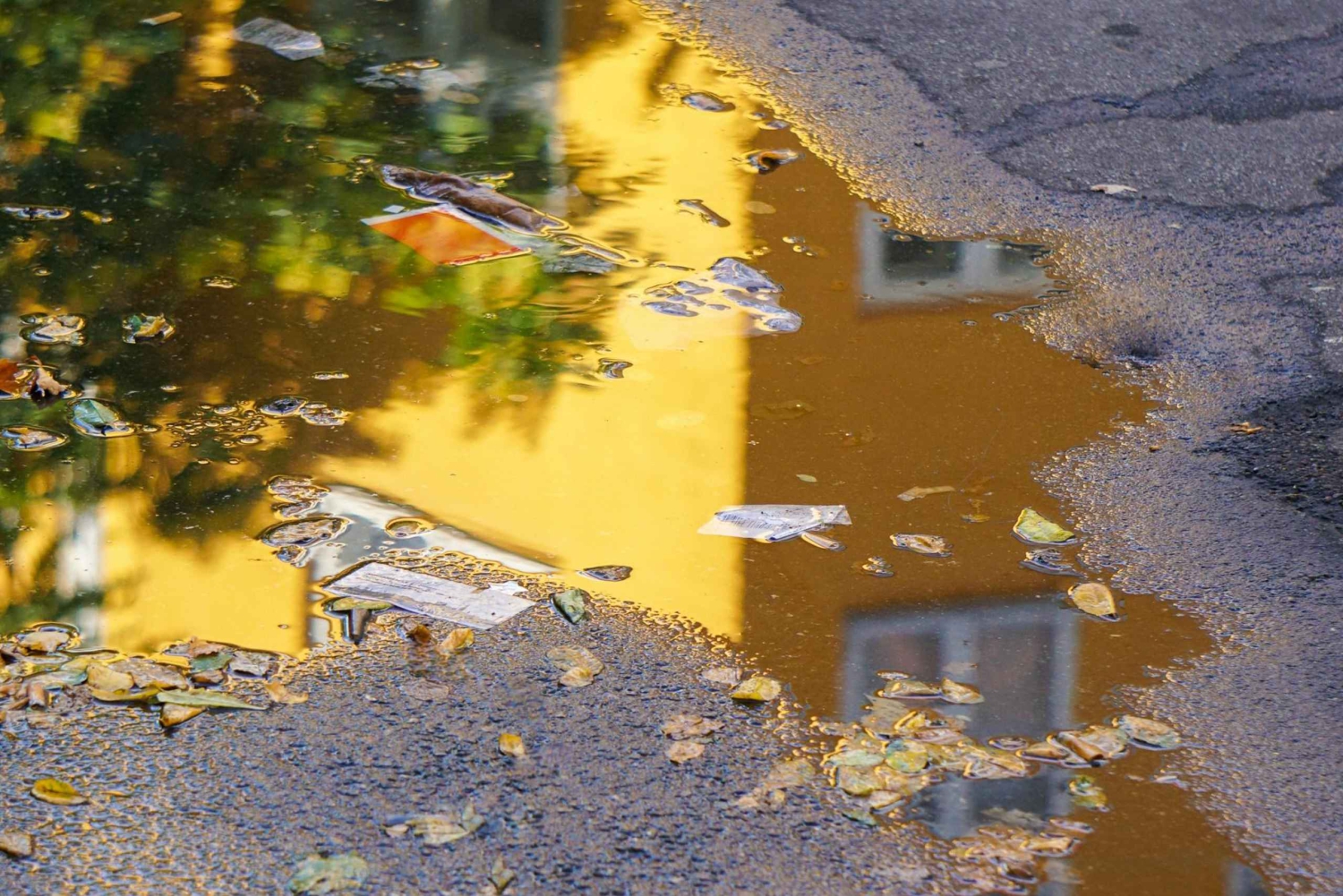 Østerbro: Aftenmad & indblik - byvandring