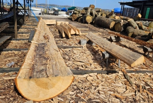 Een Big Easy-tour; kathedraal, Vikingschepen en Paleis