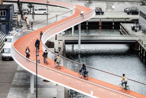 Visite en vélo électrique de l'aménagement urbain et de l'habitabilité