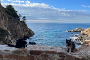 Tossa de Mar & Costa Brava coastal path, from Barcelona