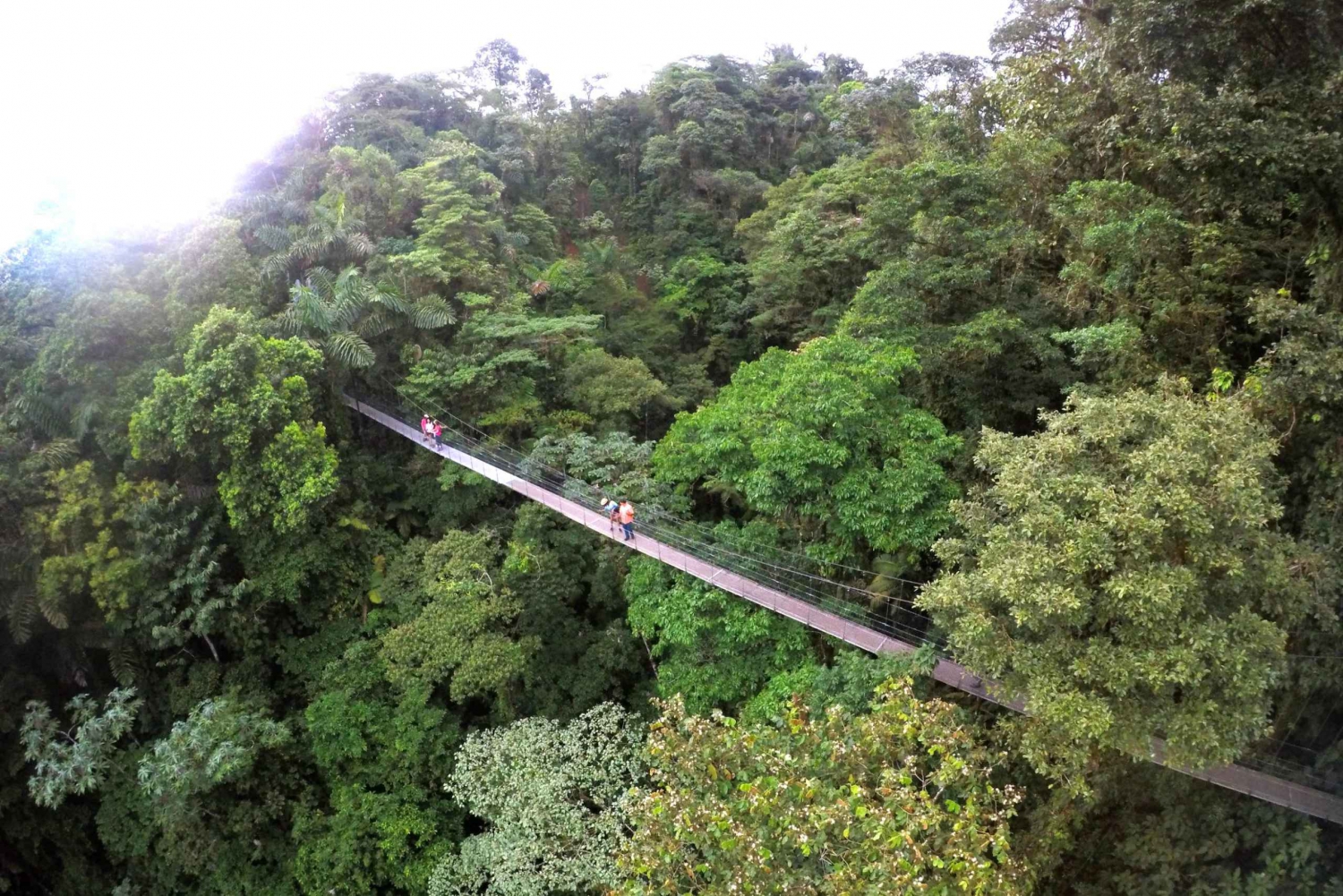 Arenal Hanging Bridges Half-Day Tour from La Fortuna