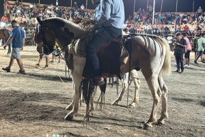 Guanacaste: Cowboy Culture & Fiesta Experience with a Guide