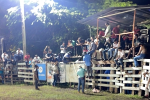Guanacaste: Cowboy Culture & Fiesta Experience with a Guide