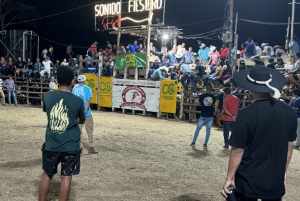 Guanacaste: Cowboy Culture & Fiesta Experience with a Guide