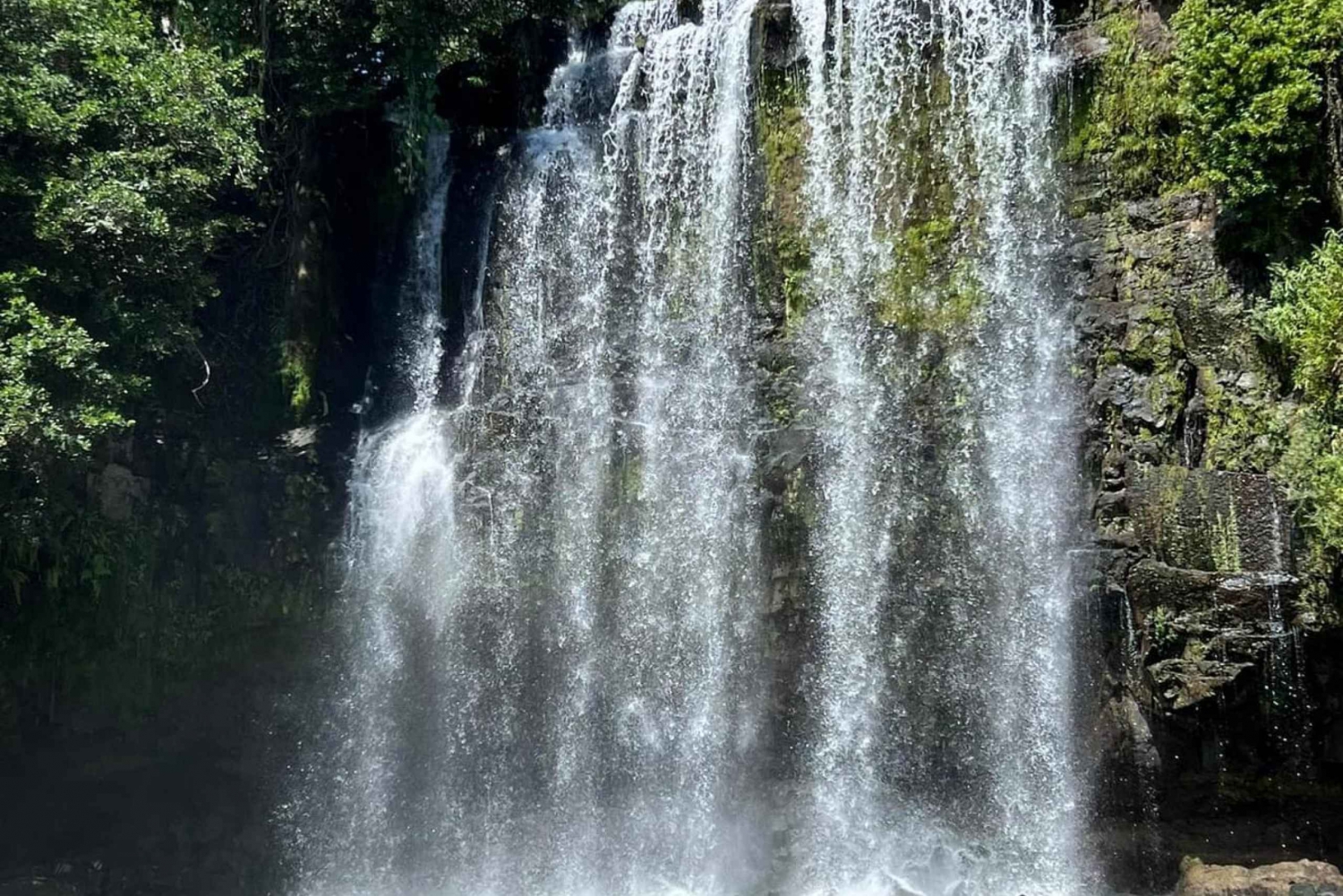 Guanacaste: Rainforest, Sloths, & Nature Day Trip with Lunch