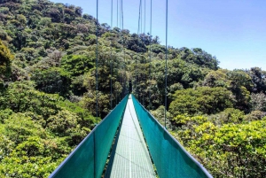 San Jose: Monteverde Sky Tram & Hanging Bridges Day Tour