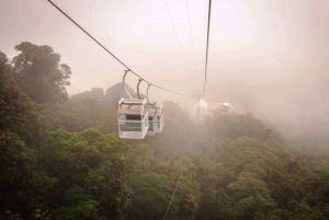 San Jose: Monteverde Sky Tram & Hanging Bridges Day Tour