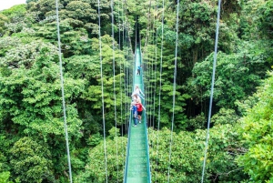 San Jose: Monteverde Sky Tram & Hanging Bridges Day Tour