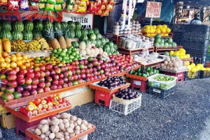 San Jose: Monteverde Sky Tram & Hanging Bridges Day Tour