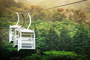 San Jose: Monteverde Sky Tram & Hanging Bridges Day Tour