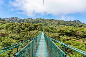 San Jose: Monteverde Sky Tram & Hanging Bridges Day Tour