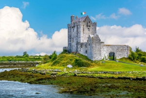 Cliffs of Moher Full-Day Tour from Dublin