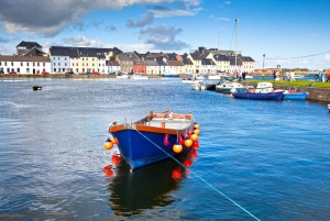 Cliffs of Moher Full-Day Tour from Dublin