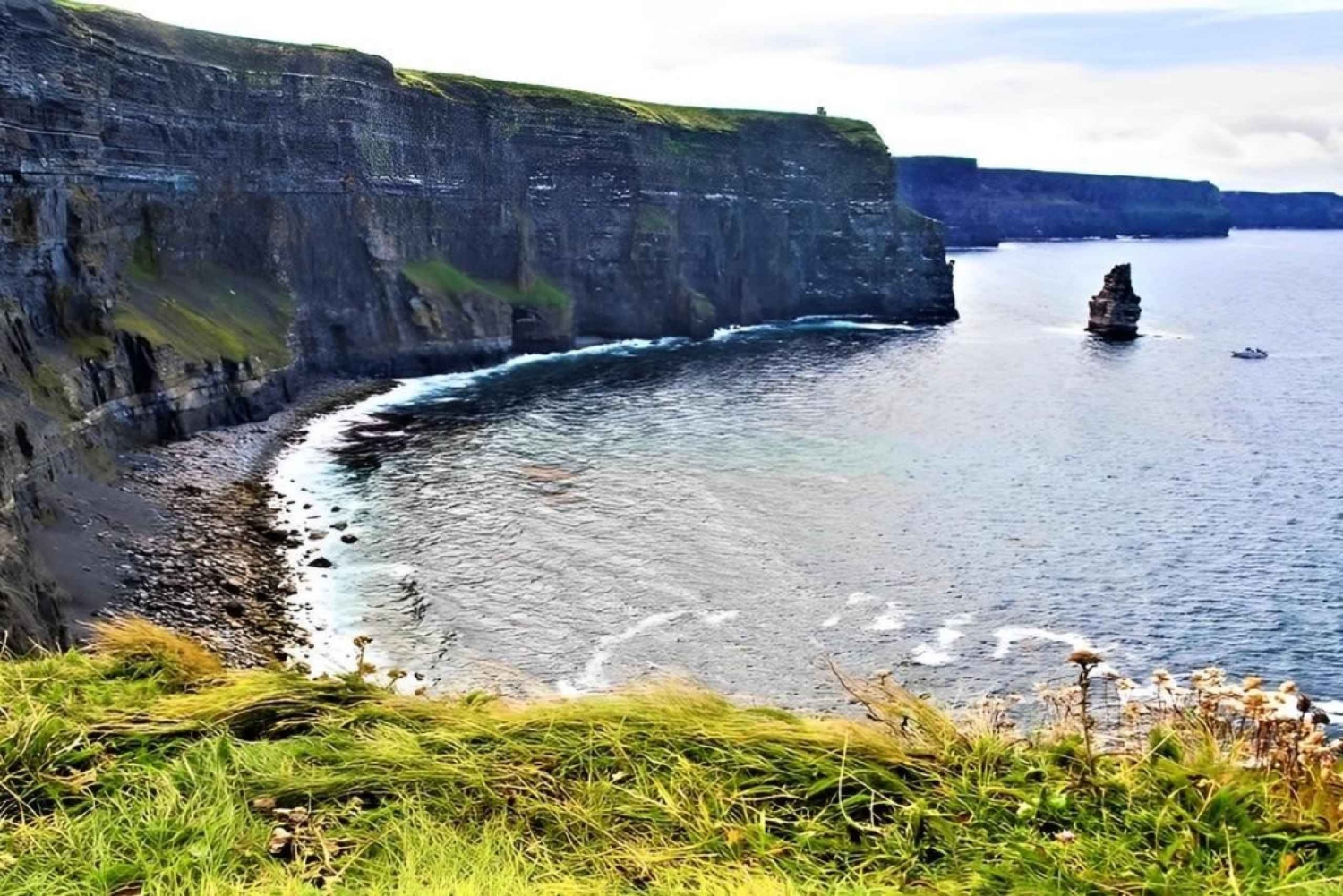 Promenade sur les falaises de Moher avec un agriculteur local. Clare. Guidée.