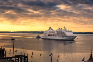 Excursion en car au départ de Galway : les falaises de Moher