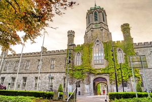 Dublin: Cliffs of Moher, Atlantic Edge & Galway City