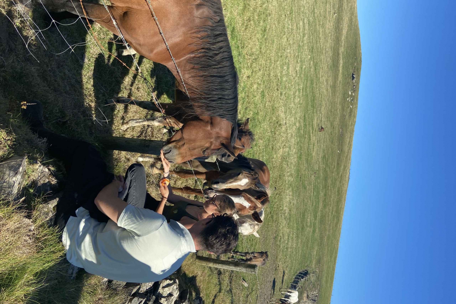 Z Doolin: Klify Moheru z przewodnikiem po wybrzeżu