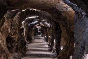 Z Dublina: Klify Moheru, rejs wycieczkowy i jaskinie Ailwee