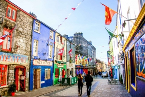 From Dublin: Cliffs of Moher, Burren & Galway City Day Tour