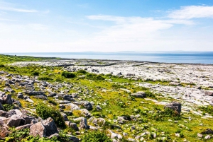 From Dublin: Cliffs of Moher, Burren & Galway City Day Tour