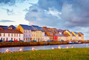 Dublin: Cliffs of Moher, Bunratty Castle, Burren och Ennis