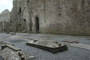 Dublin: klify Moher, zamek Bunratty, Burren i Ennis