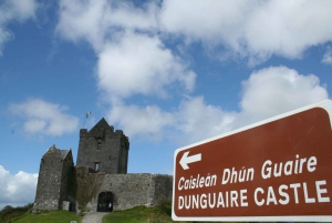 From Galway: Cliffs of Moher and The Burren Full Day Tour