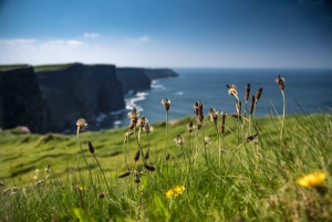 From Galway: Cliffs of Moher and The Burren Full Day Tour