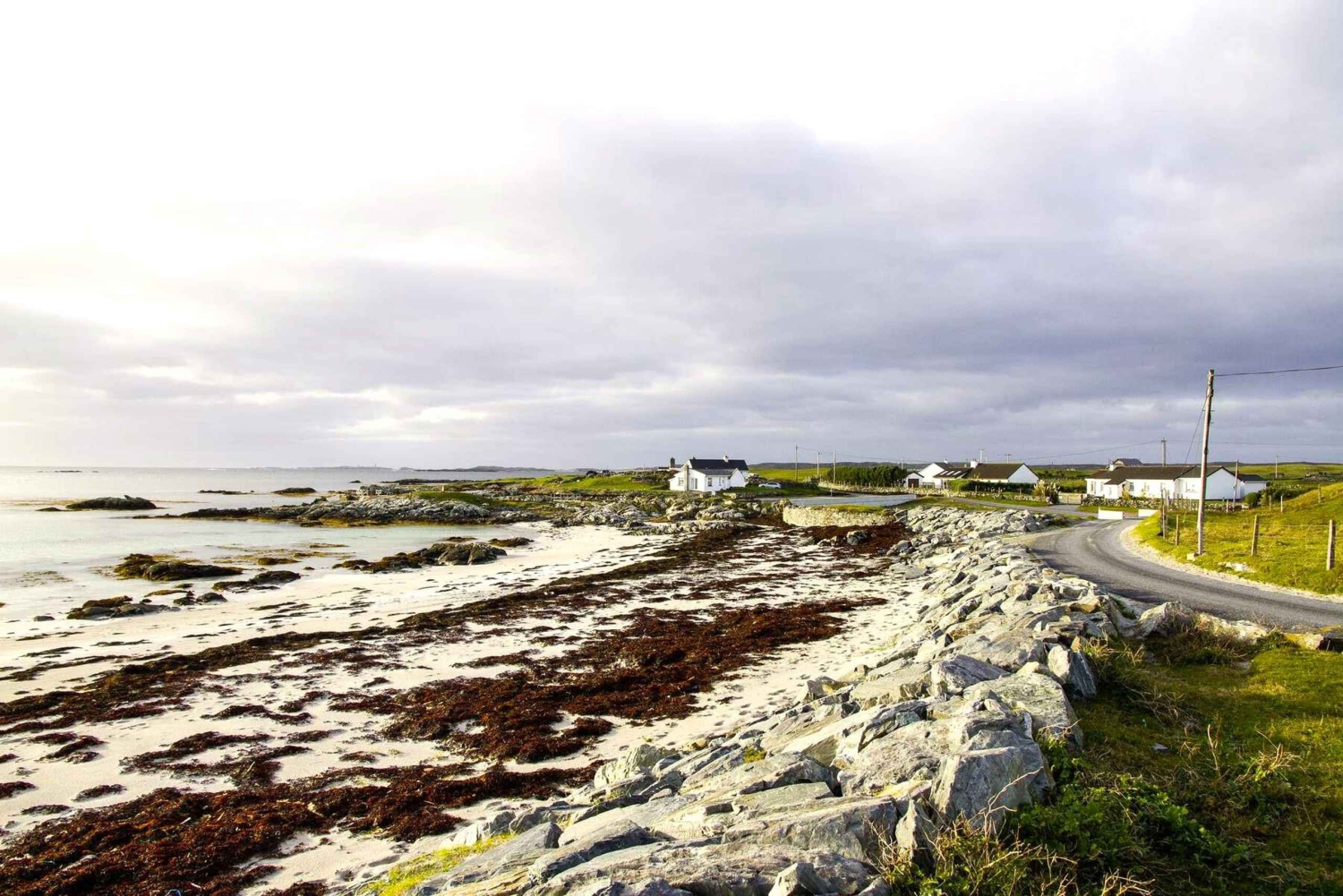 Från Galway: Connemara, Aranöarna, kryssning och Burren-tur