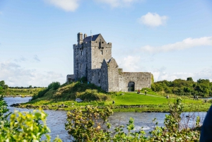 From Galway: Full-Day Cliffs of Moher & Burren Guided Tour