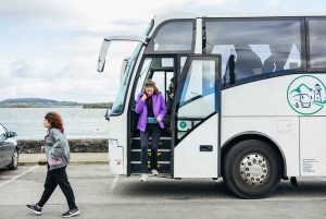 From Galway: Full-Day Cliffs of Moher & Burren Guided Tour