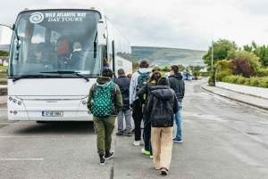From Galway: Full-Day Cliffs of Moher & Burren Guided Tour
