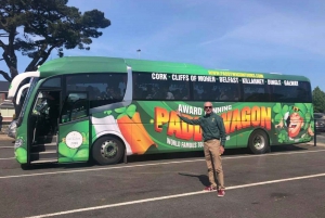 Południowo-zachodnia Irlandia: 4 dni z Galway do Kerry