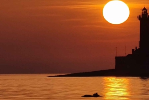 3hours Dolphin Sunset watching with unlimited drinks +dinner