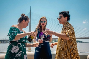 Belgrade: Sightseeing Boat Cruise with Drinks