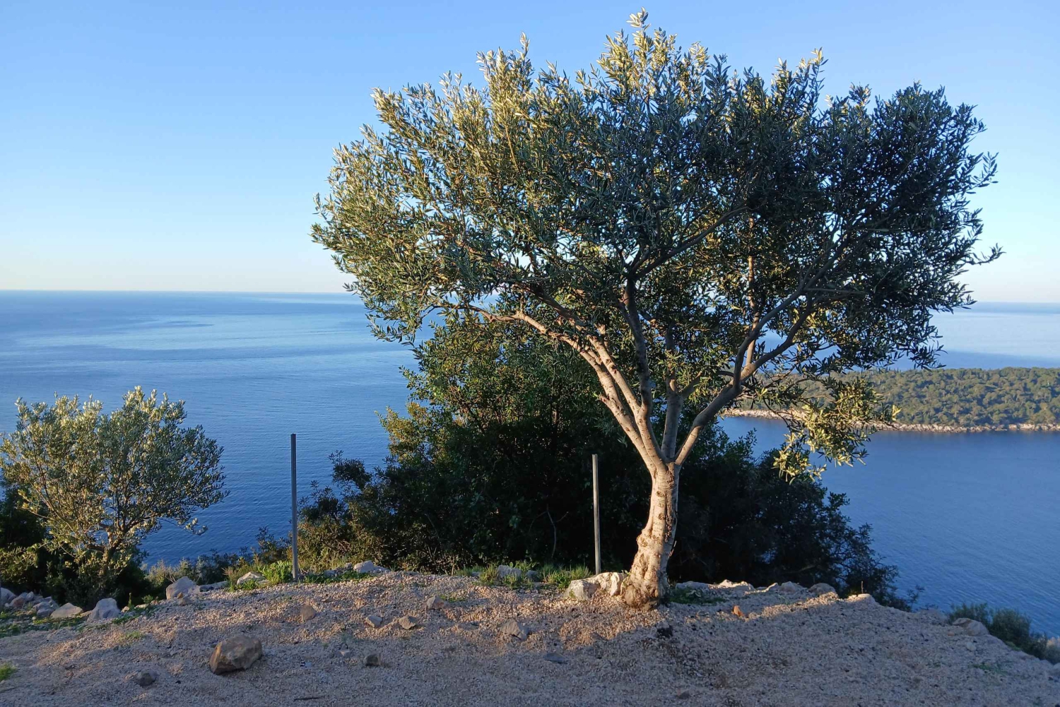 Dubrovnik: Tidig naturvandring med en historisk twist