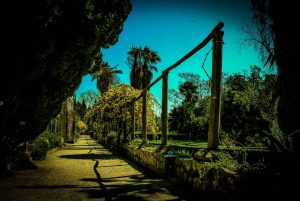 Dubrovnik: Game of Thrones Complete Tour