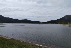 Dubrovnik: Oyster, Mussles, and Wine Tasting Tour in Ston