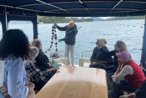 Dubrovnik: Oyster, Mussles, and Wine Tasting Tour in Ston