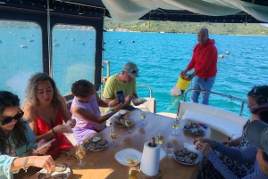 Dubrovnik: Oyster, Mussles, and Wine Tasting Tour in Ston