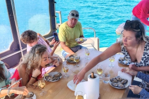 Dubrovnik: Oyster, Mussles, and Wine Tasting Tour in Ston