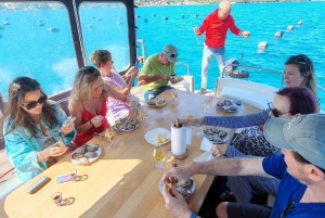 Dubrovnik: Oyster, Mussles, and Wine Tasting Tour in Ston