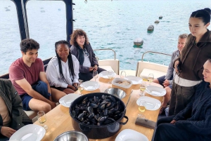 Dubrovnik: Oyster, Mussles, and Wine Tasting Tour in Ston