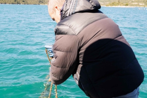 Dubrovnik: Oyster, Mussles, and Wine Tasting Tour in Ston