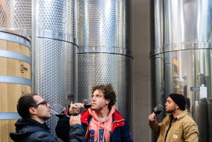 Dubrovnik: Oyster, Mussles, and Wine Tasting Tour in Ston