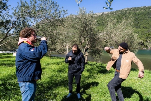 Dubrovnik: Oyster, Mussles, and Wine Tasting Tour in Ston