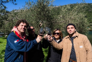 Dubrovnik: Oyster, Mussles, and Wine Tasting Tour in Ston