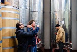 Dubrovnik: Oyster, Mussles, and Wine Tasting Tour in Ston