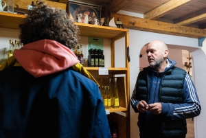 Dubrovnik: Oyster, Mussles, and Wine Tasting Tour in Ston